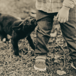 Children and Dog Bites: Essential Legal Guide for Parents